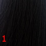 SH 1 Крем-краска для волос с коллагеном 100 мл черный