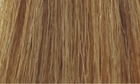   8/0 светлый блондин - DCM Hair Color Cream HOP Complex 100мл