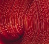 Бутикле ACI 0.55 Красный ATELIER COLOR INTEGRATIVE 80 мл.