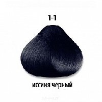 DT Краска д/волос 1-1 иссиня черный 60мл