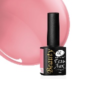 Гель-лак Holy Rose Beauty №19 (10мл)