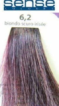 Z 6.2 темный фиолетовый блондин Стойкая крем-краска "Sense Colours"100мл