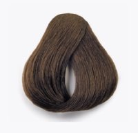 colorEVO крем-краска 8.15 100мл.