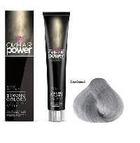 SH Крем-краска для волос POWER COLOR СЕРЕБРЯННЫЙ 100 мл