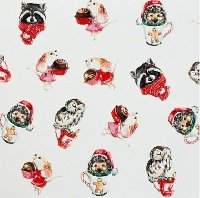 3Д-Слайдер IRISK зимний (012 3Д-Т205)