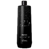 Baco Blonde Elevation Charcoal Shampoo Черный угольный тонирующий шампунь для волос 1л