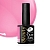Гель-лак Holy Rose Beauty №09 (10мл)