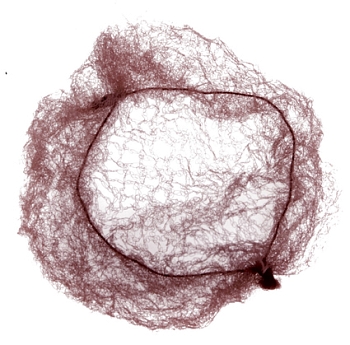 Dewal СЕ104 Сеточка - паутинка темно- коричневая 2 шт. 