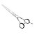 Ножницы Kapous прямые 6.0