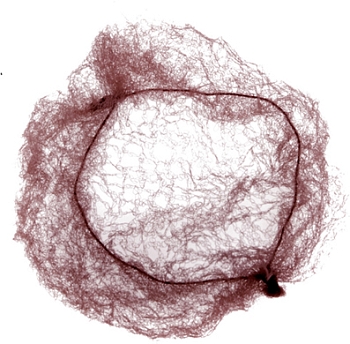 Dewal СЕ054 Сеточка - паутинка малая темно-кор., 2 шт. 