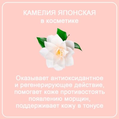 GEGEMOON BeautyBox CAMELLIA  GM-1120