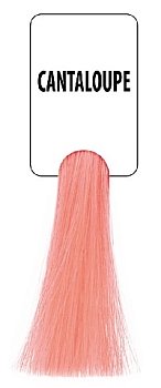  AFСL CANTALOUPE мускусная дыня "Baco Soft" 100мл